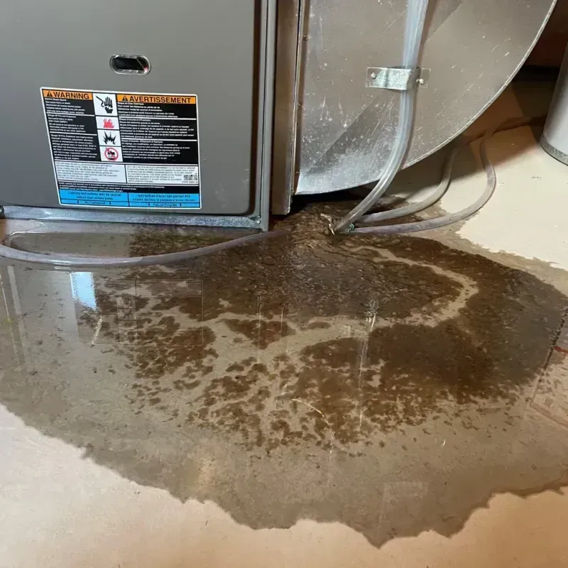 Appliance Leak Cleanup in Haralson County, GA